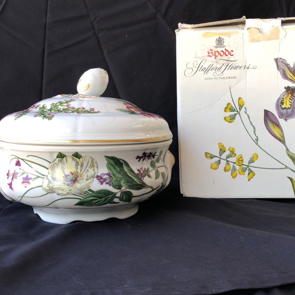Spode Stafford flowers - Picture 1 of 7